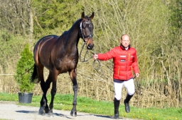 radolfzell-2015_verfassung-059