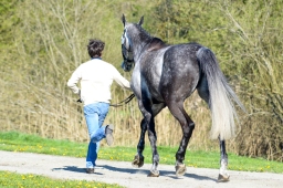 radolfzell-2015_verfassung-124