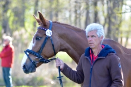 radolfzell-2015_verfassung-127