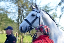 radolfzell-2015_verfassung-135