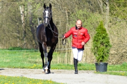 radolfzell-2015_verfassung-164