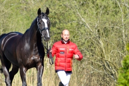 radolfzell-2015_verfassung-165