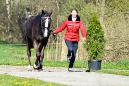 radolfzell-2015_verfassung-177