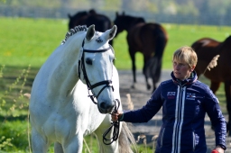 radolfzell-2015_verfassung-181