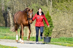 radolfzell-2015_verfassung-183