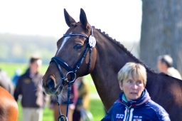 radolfzell-2015_verfassung-189