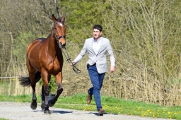 radolfzell-2015_verfassung-198