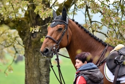 springen-sen_radolfzell-2016-053-jpg