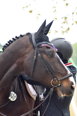 springen-sen_radolfzell-2016-054-jpg