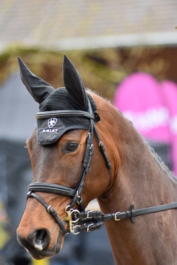 springen-sen_radolfzell-2016-058-jpg