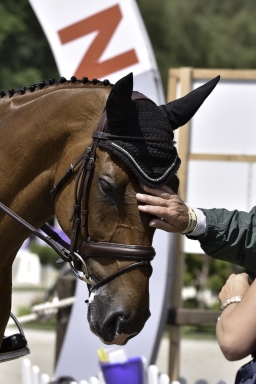 luhmuehlen-2018_dr-4-017-jpg