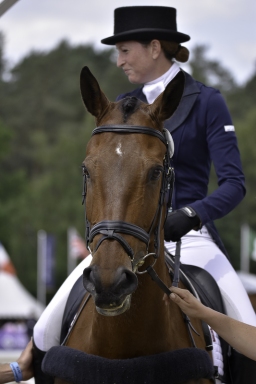 luhmuehlen-2018_dr-4-032-jpg