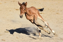 2025-04-12-hanno-kroete-001-34