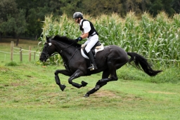 aachen-2015_cico3-064-jpg