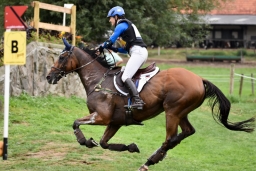 aachen-2015_cico3-081-jpg
