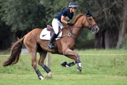 aachen-2015_cico3-120