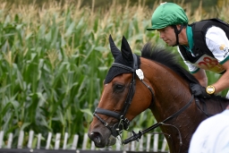 aachen-2015_cico3-165