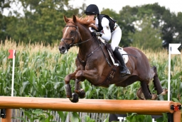 aachen-2015_cico3-222