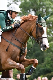 cico_aachen-2016-112
