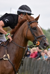 cico_aachen-2016-126