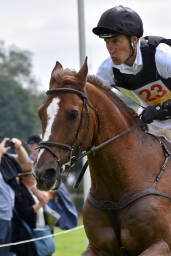 cico_aachen-2016-148
