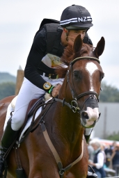 cico_aachen-2016-205