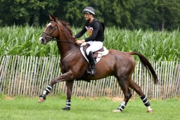 cico_aachen-2016-213