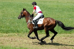 altensteig-2012_cic1-009-jpg