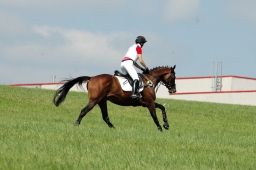 altensteig-2012_cic1-011-jpg