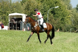 altensteig-2012_cic1-015-jpg