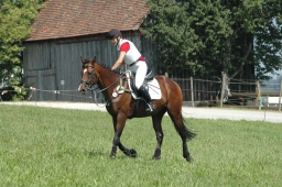 altensteig-2012_cic1-018-jpg