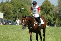 altensteig-2012_cic1-019-jpg