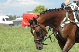 altensteig-2012_cic1-020-jpg