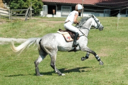 altensteig-2012_cic1-038-jpg