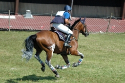 altensteig-2012_cic1-044-jpg