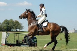 altensteig-2012_cic1-047-jpg