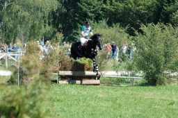 altensteig-2012_cic1-052-jpg