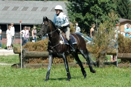 altensteig-2012_cic1-060-jpg