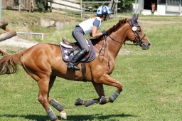 altensteig-2012_cic1-063-jpg