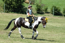 altensteig-2012_cic1-064-jpg