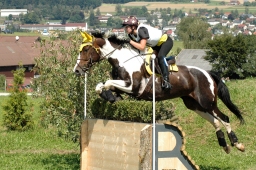 altensteig-2012_cic1-069-jpg