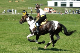 altensteig-2012_cic1-070-jpg