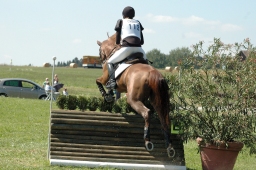 altensteig-2012_cic1-075-jpg