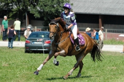 altensteig-2012_cic1-076-jpg