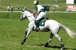 altensteig-2012_cic1-093-jpg