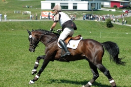 altensteig-2012_cic1-098-jpg
