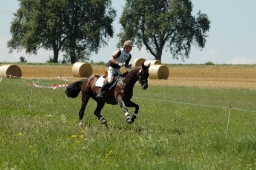 altensteig-2012_cic1-099-jpg