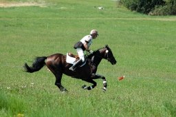 altensteig-2012_cic1-100-jpg