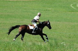 altensteig-2012_cic1-101-jpg