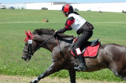 altensteig-2012_cic1-105-jpg
